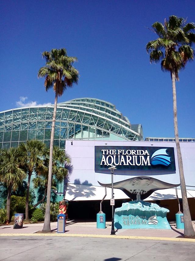 The Florida Aquarium, featured in Red Bull Dance Your Style Tampa 2026: The Weekend Guide